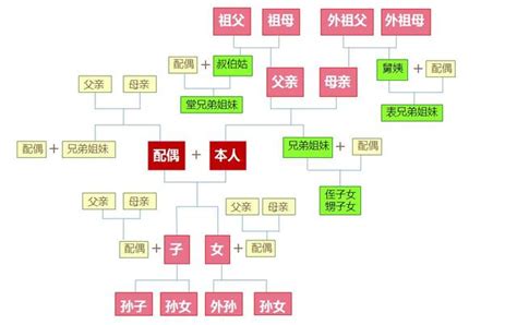 外孫算直系嗎|哪些人是直系血親卑親屬？ – 上毅法律事務所